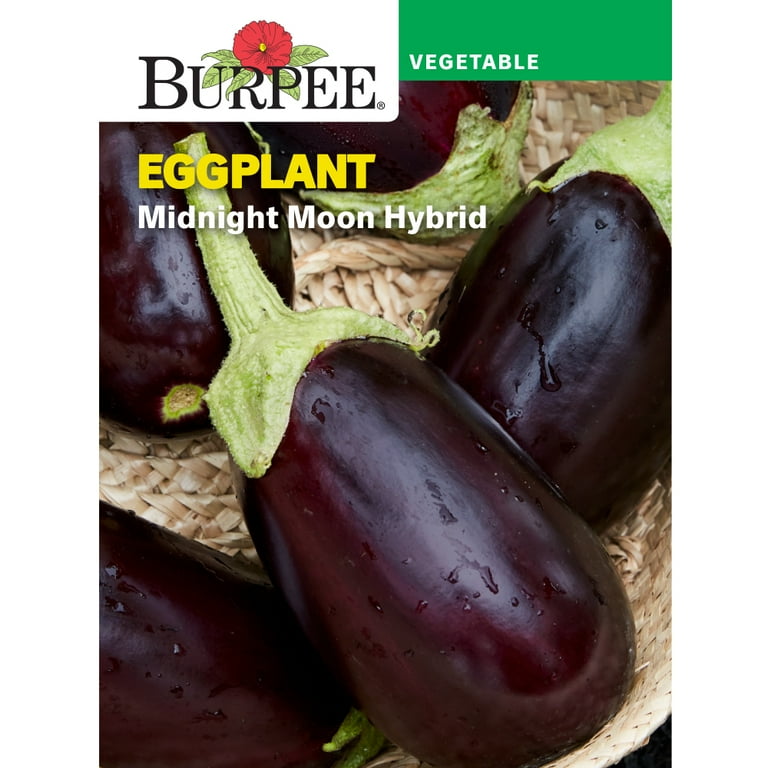 Burpee Eggplant Midnight Moon Hybrid - Walmart.com