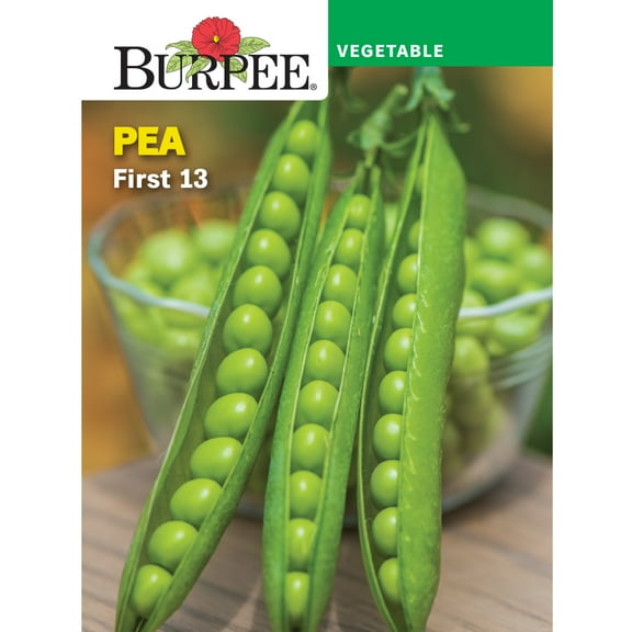 Burpee First 13 Pea, Annual Vegetable Seed, 1-Pack, Full Sun