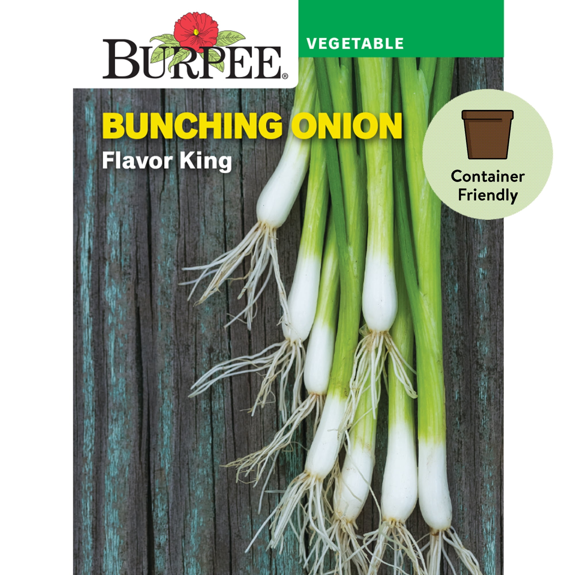 Burpee Flavor King Bunching Onion Seeds