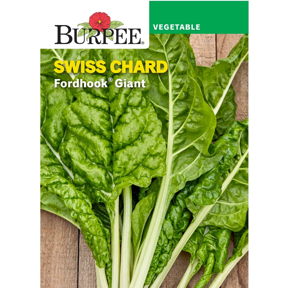 Burpee Fordhook Giant Swiss Chard, Annual Vegetable Seed, 1-Pack, Full Sun