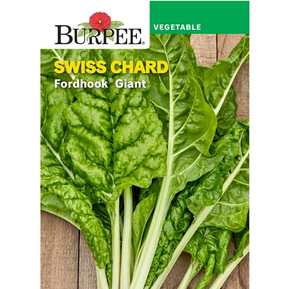 Burpee Fordhook Giant Swiss Chard, Annual Vegetable Seed, 1-Pack, Full Sun
