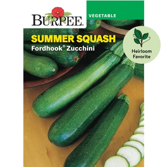 Burpee Fordhook Zucchini Summer Squash Vegetable Seed, 1-Pack