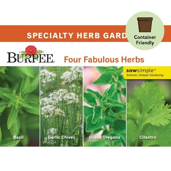 Burpee Four Fabulous Herbs Starter Garden Herb Seed Collection - Non-GMO, Specialty Herb Gardening Seeds, 2.63g, 1-Pack