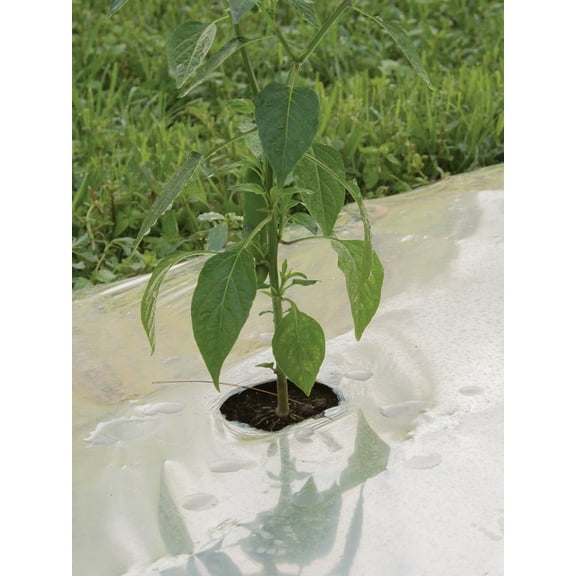 Burpee Garden Products Silver Mulch