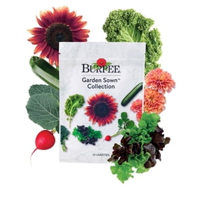 Burpee Garden Sown Flower, Herb & Vegetable Seeds Collection, Plant Basil, Lettuce, Cucumber, Radish, Spinach, Kale, Zucchini, Sunflower & Marigold Seeds, Annual Lifecycle