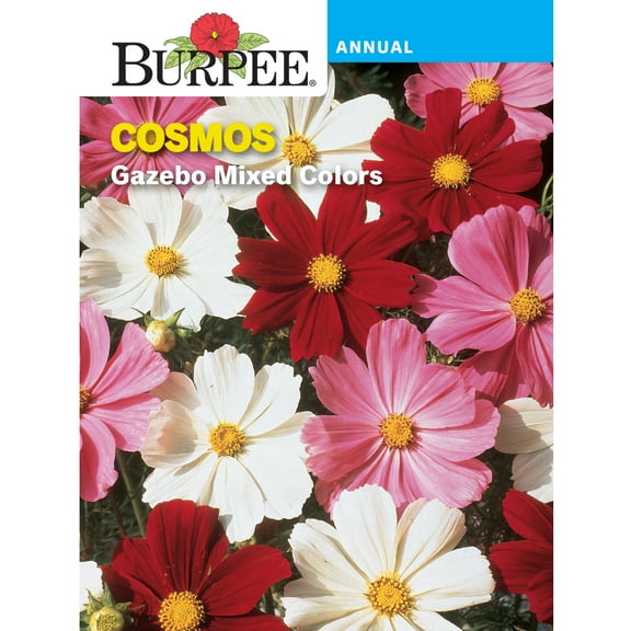 Burpee Gazebo Mixed Colors Cosmos Flower Seed, 1-Pack
