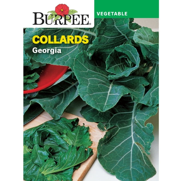 Burpee Georgia Collards Vegetable Seed, 1-Pack