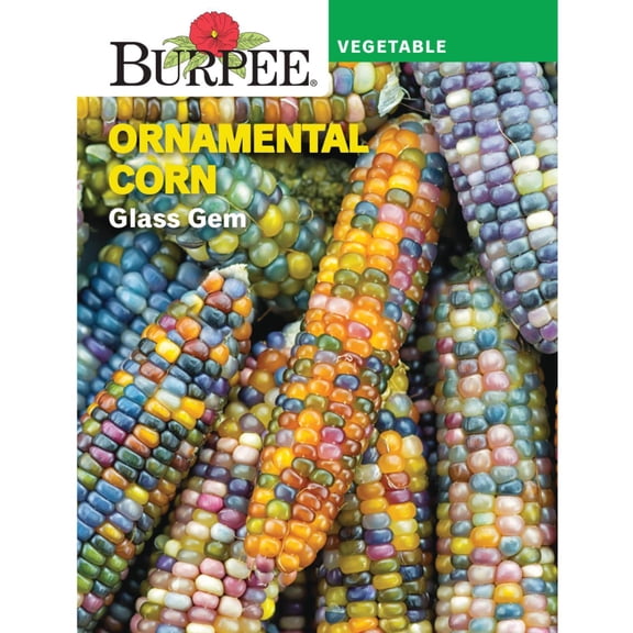 Burpee Glass Gem Corn, Ornamental Vegetable Seed
