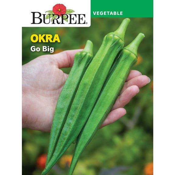 Burpee Go Big Okra Vegetable Seed, 1-Pack