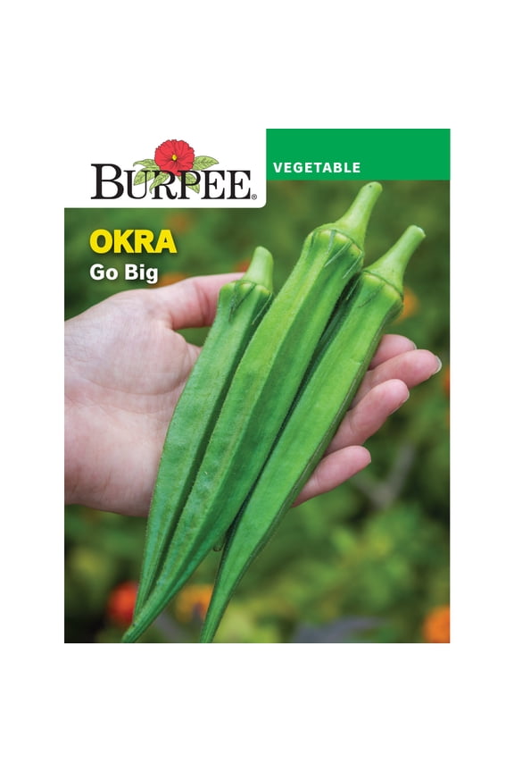 Go Big Okra Vegetable Seed, 1-Pack