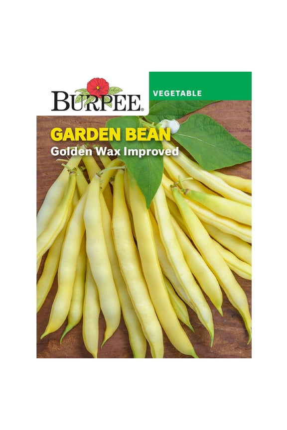 Golden Wax Improved Garden Bean Vegetable Seed, 1-Pack