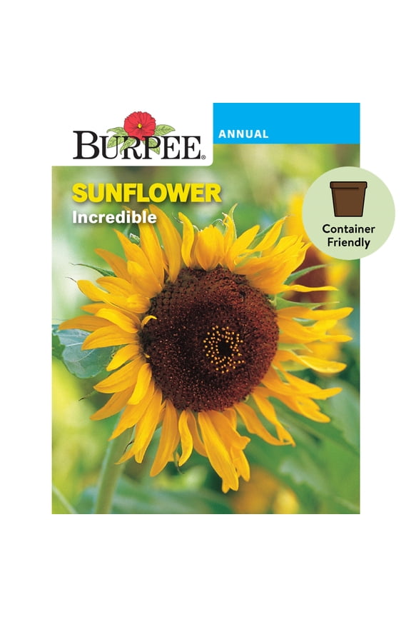 Incredible Sunflower Flower Seed, 1-Pack, Annual Flower, Full Sun