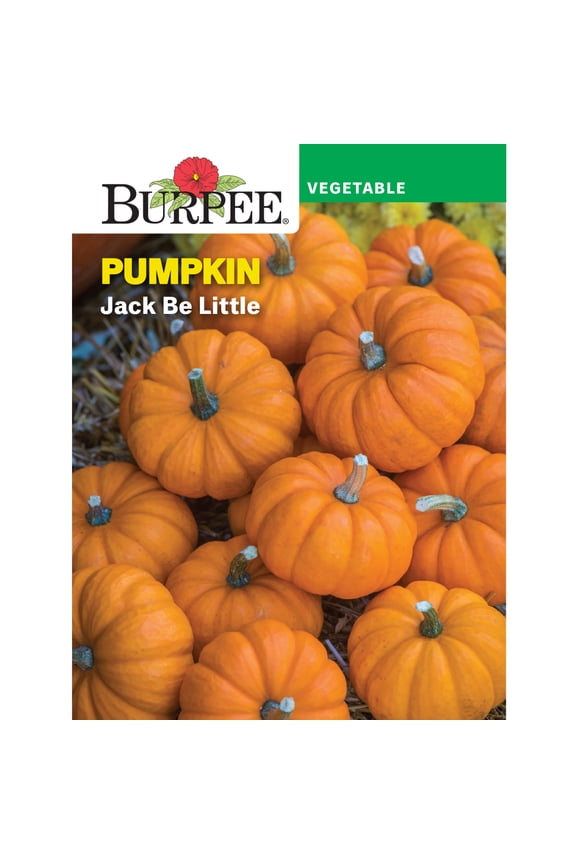 Jack Be Little Pumpkin Vegetable Seed, 1-Pack
