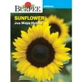 thumbnail image 1 of Burpee Jua Maya Hybrid Sunflower Flower Seed, 1-Pack, 1 of 6