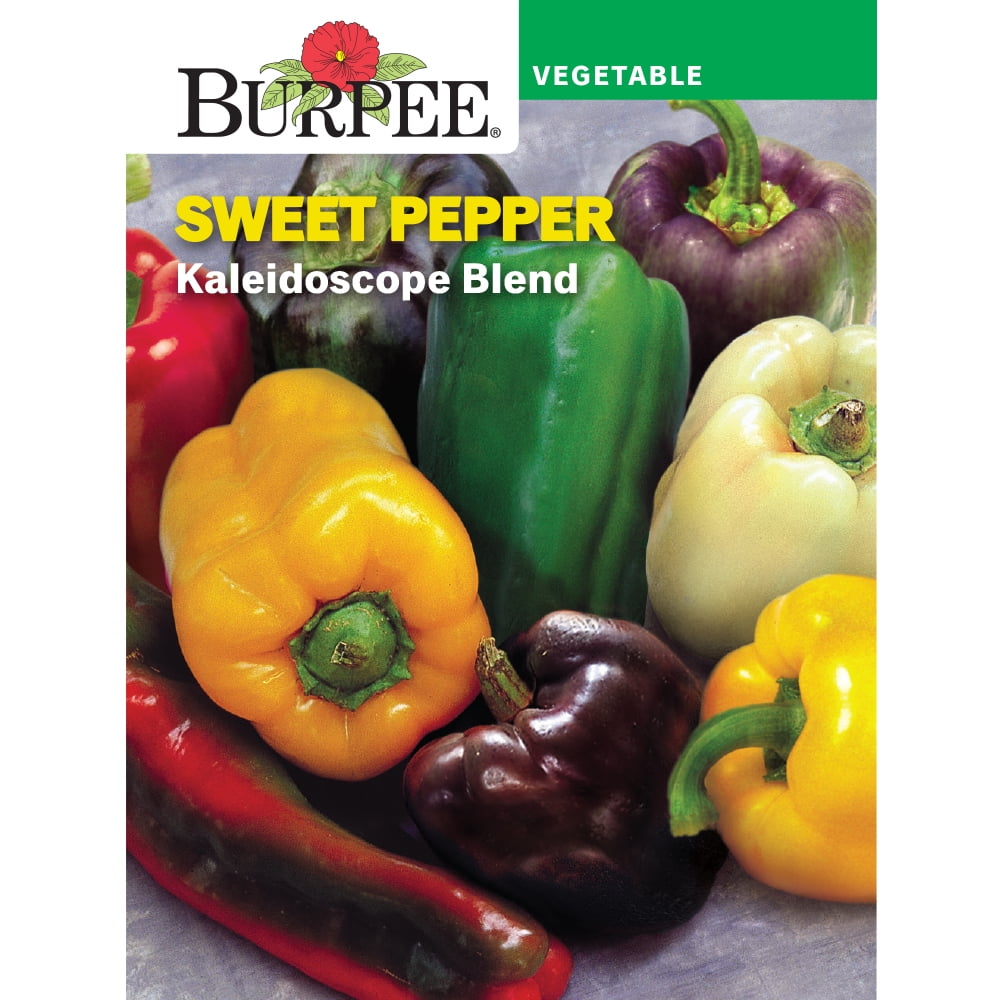 Burpee Kaleidoscope Blend Sweet Pepper Vegetable Seed, 1Pack