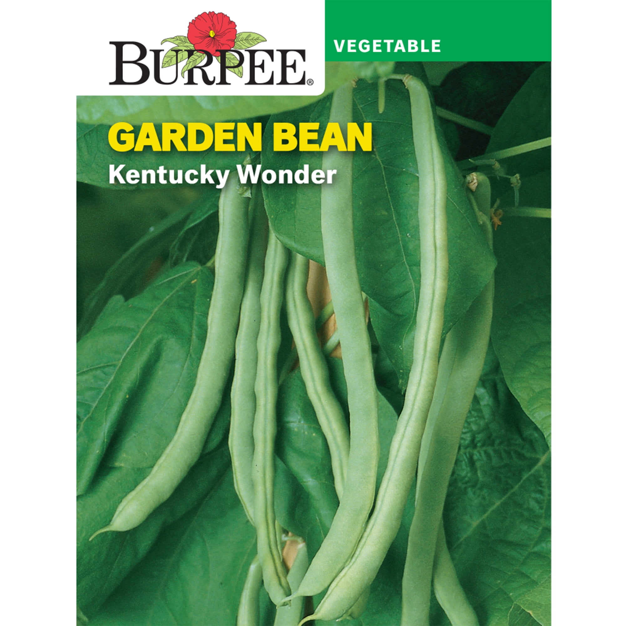 Burpee Kentucky Wonder green Bean Vegetable Seed frugal farm homestead