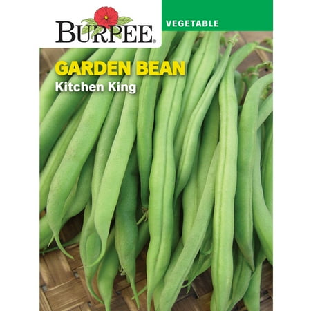 Burpee Kitchen King Garden Bean Seeds - Bush Bean, Vegetable Gardening Seeds, 1-Pack