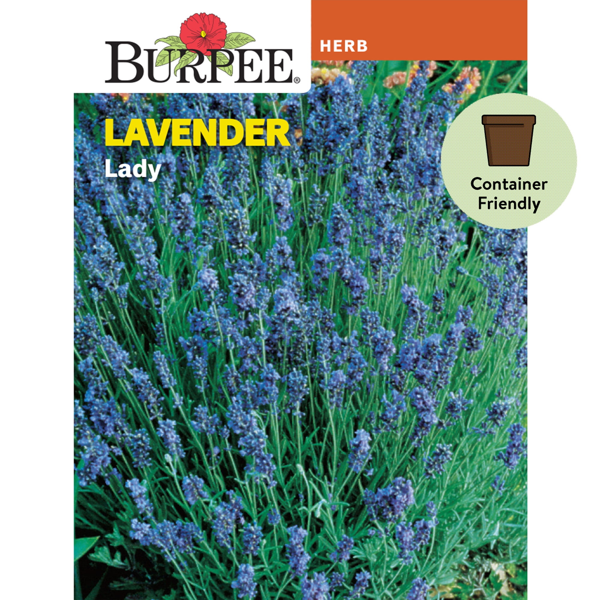 Burpee Lady Lavender Herb Seed, 1-Pack
