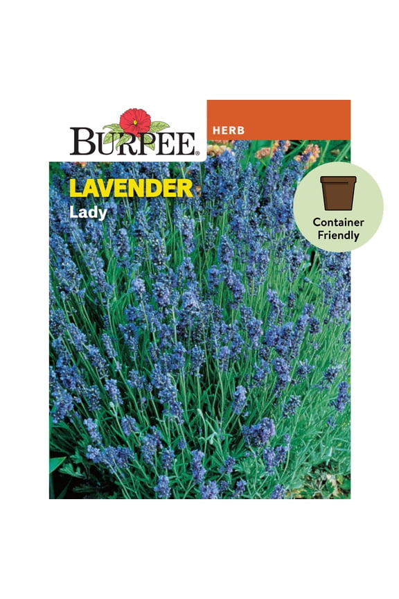 Lady Lavender Herb Seed, 1-Pack