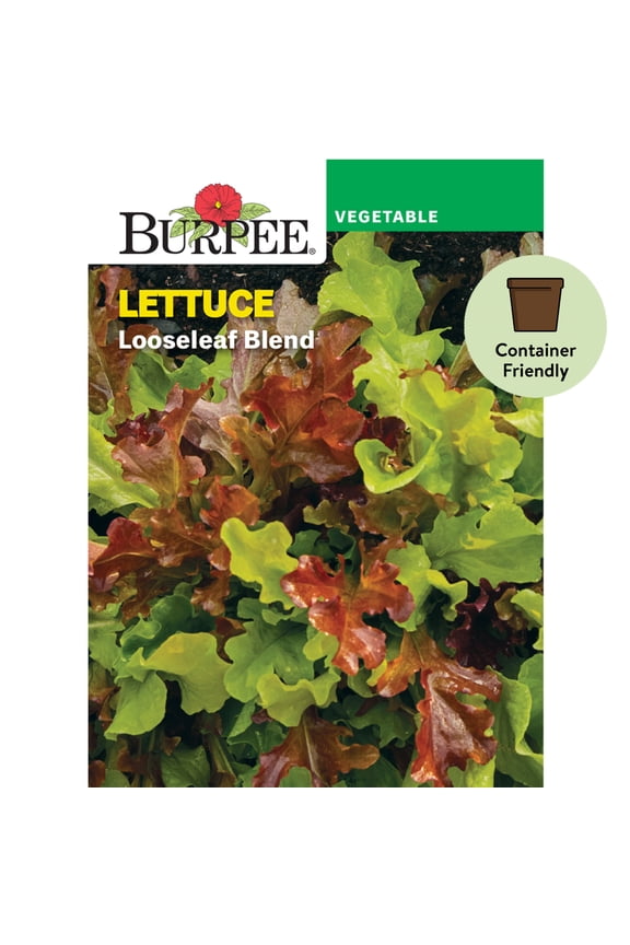 Looseleaf Blend Lettuce Seeds - Non-GMO, Container-Friendly, Vegetable Gardening Seeds, 680mg, 1-Pack