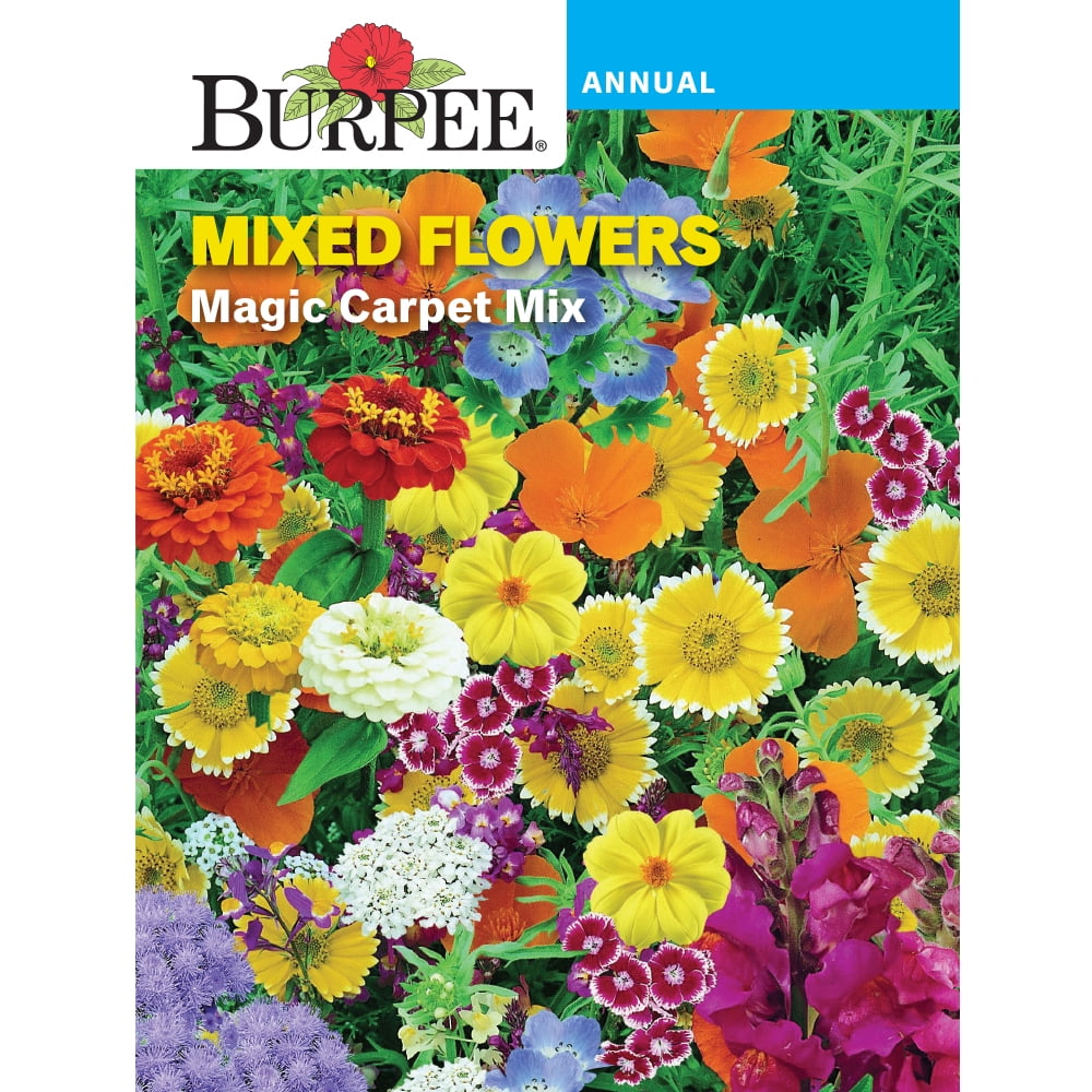 Burpee Magic Carpet Mix Portulaca Mixed Flower Seed, 1Pack
