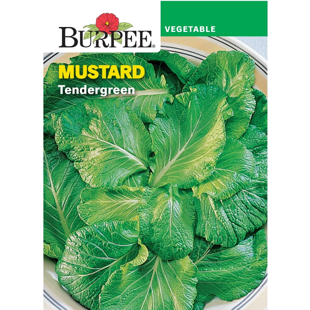 Burpee Tendergreen Mustard Seed, Annual Vegetable Seed, Full Sun