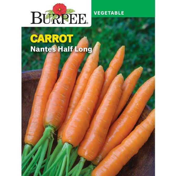 Burpee Nantes Half Long Carrot Seed, Heirloom Annual Vegetable, Full Sun