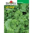 Burpee Nevada Lettuce Seeds NonGMO, Vegetable Gardening Seeds, 260mg