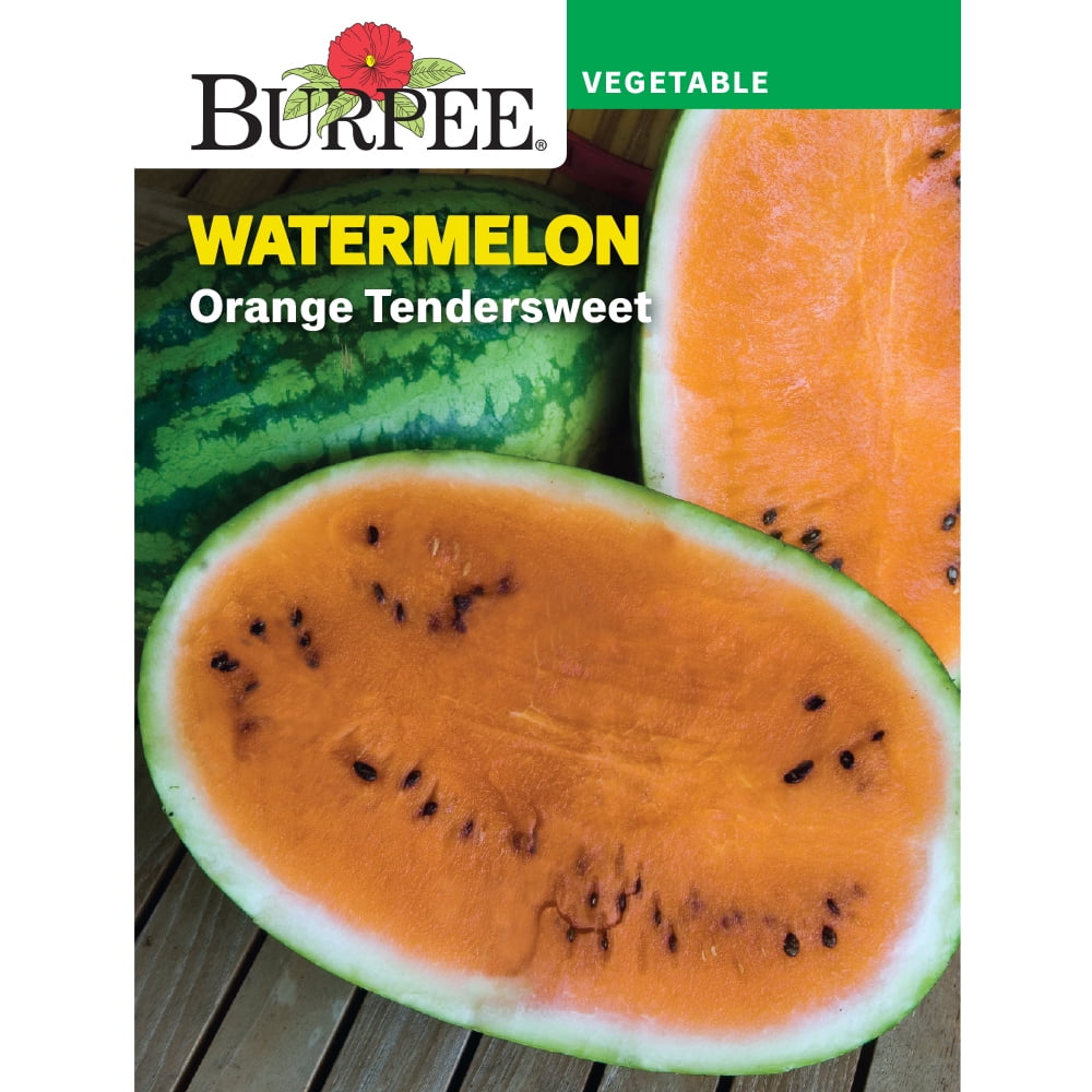 Burpee Orange Tendersweet Watermelon Vegetable Seed, 1-Pack