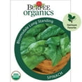 thumbnail image 1 of Burpee Organic Bloomsdale Long Standing Spinach Vegetable Seed, 1-Pack, 1 of 6
