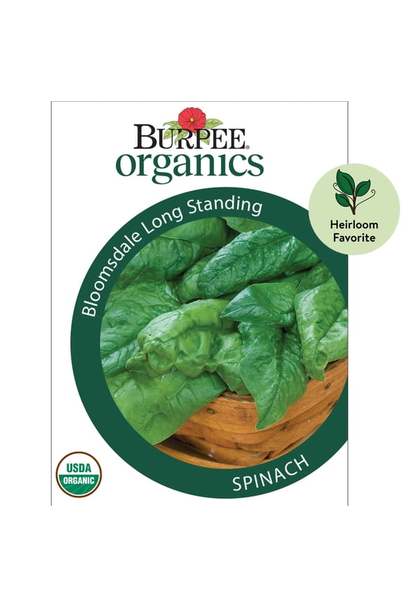 Organic Bloomsdale Long Standing Spinach Vegetable Seed, 1-Pack