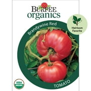 Burpee Organic Brandywine Red Tomato Vegetable Seed, 1-Pack