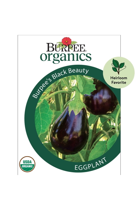 Organic Burpee's Black Beauty Eggplant Vegetable Seed, 1-Pack, Full Sun, Annual