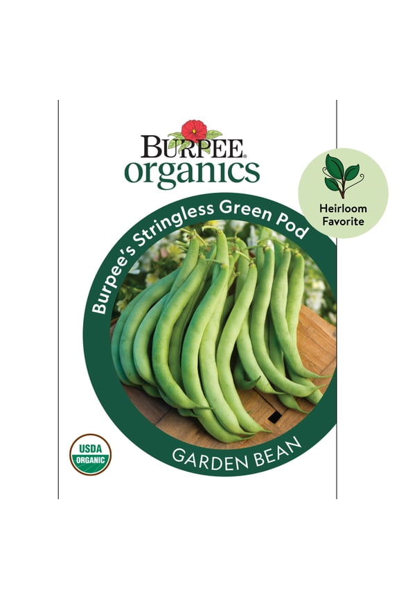 Organic Burpee's Stringless Green Pod Garden Bean Vegetable Seed, 1-Pack