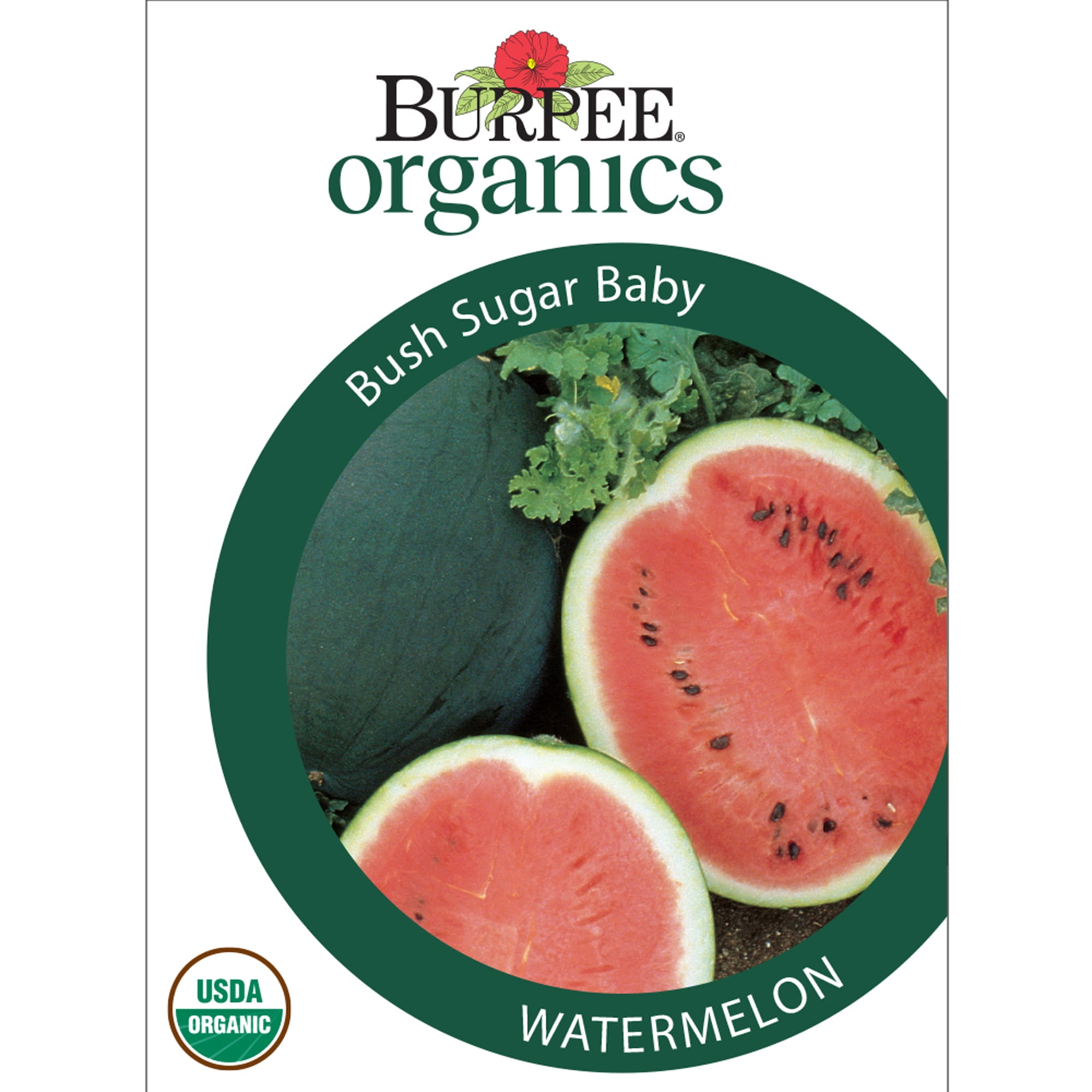 Melon, Honeydew Green Flesh Organic - Burpee