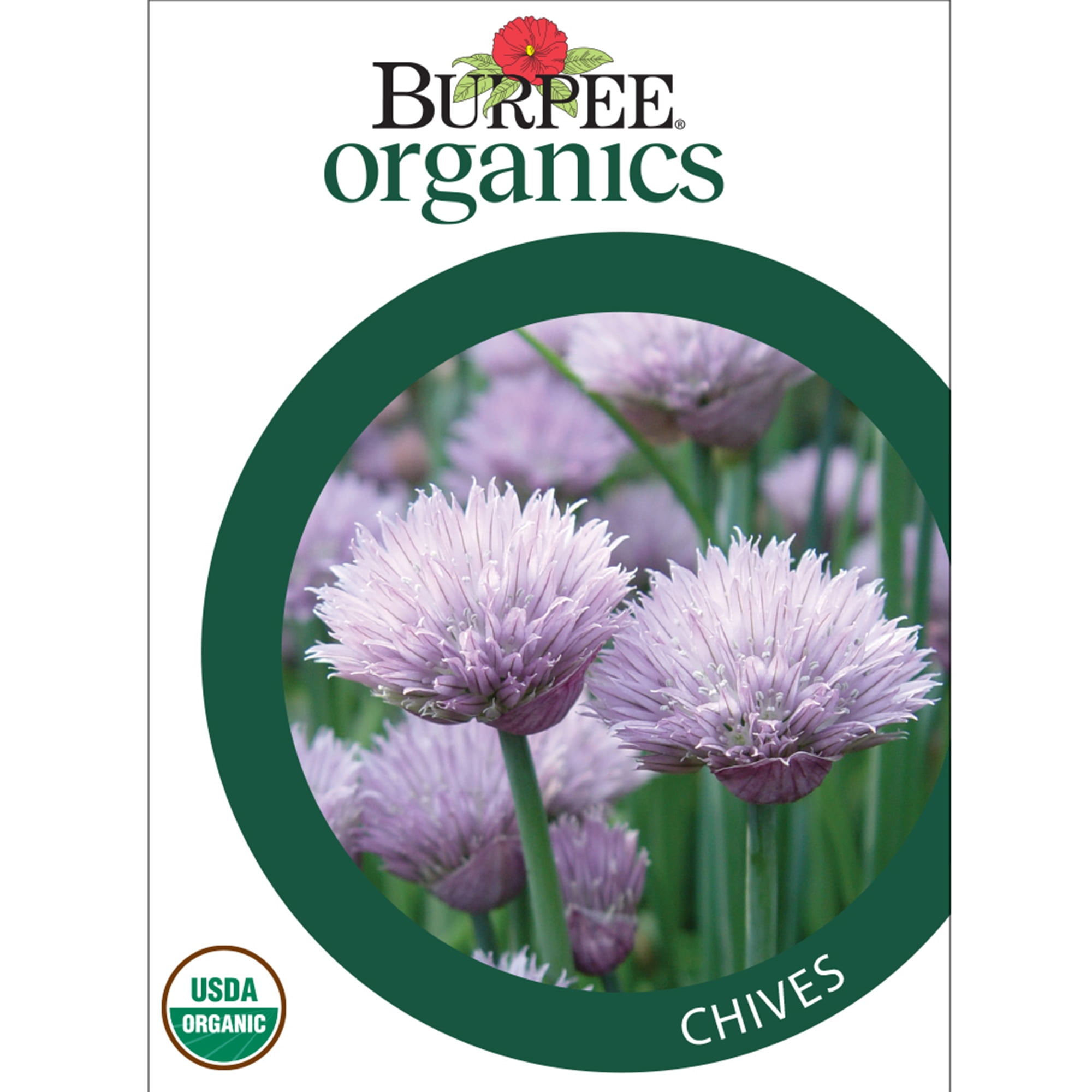 Burpee Organic Common Chives Herb Seed, 1-Pack