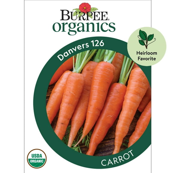 Burpee Organic Danvers 126 Carrot Vegetable Seed, 1-Pack