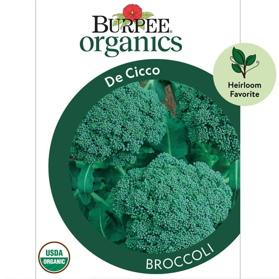 Burpee Organic De Cicco Broccoli Vegetable Seed, 1-Pack