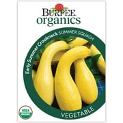 Burpee Organic Early Summer Crookneck Summer Squash Vegetable Seed, 1-Pack