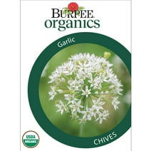 Burpee Organic Garlic Chives Herb Seed, 1-Pack