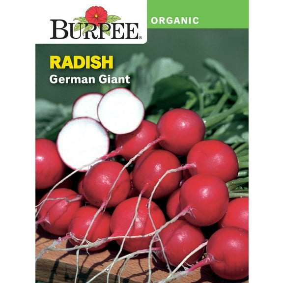 Burpee Organic German Giant Radish Vegetable Seed, Annual Lifecycle, Full Sun