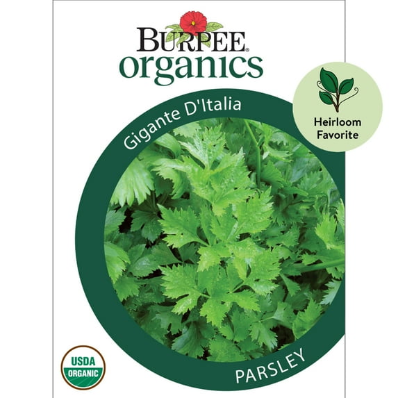 Burpee Organic Gigante D'Italia Parsley Herb Seed, 1-Pack, Full Sun, Annual