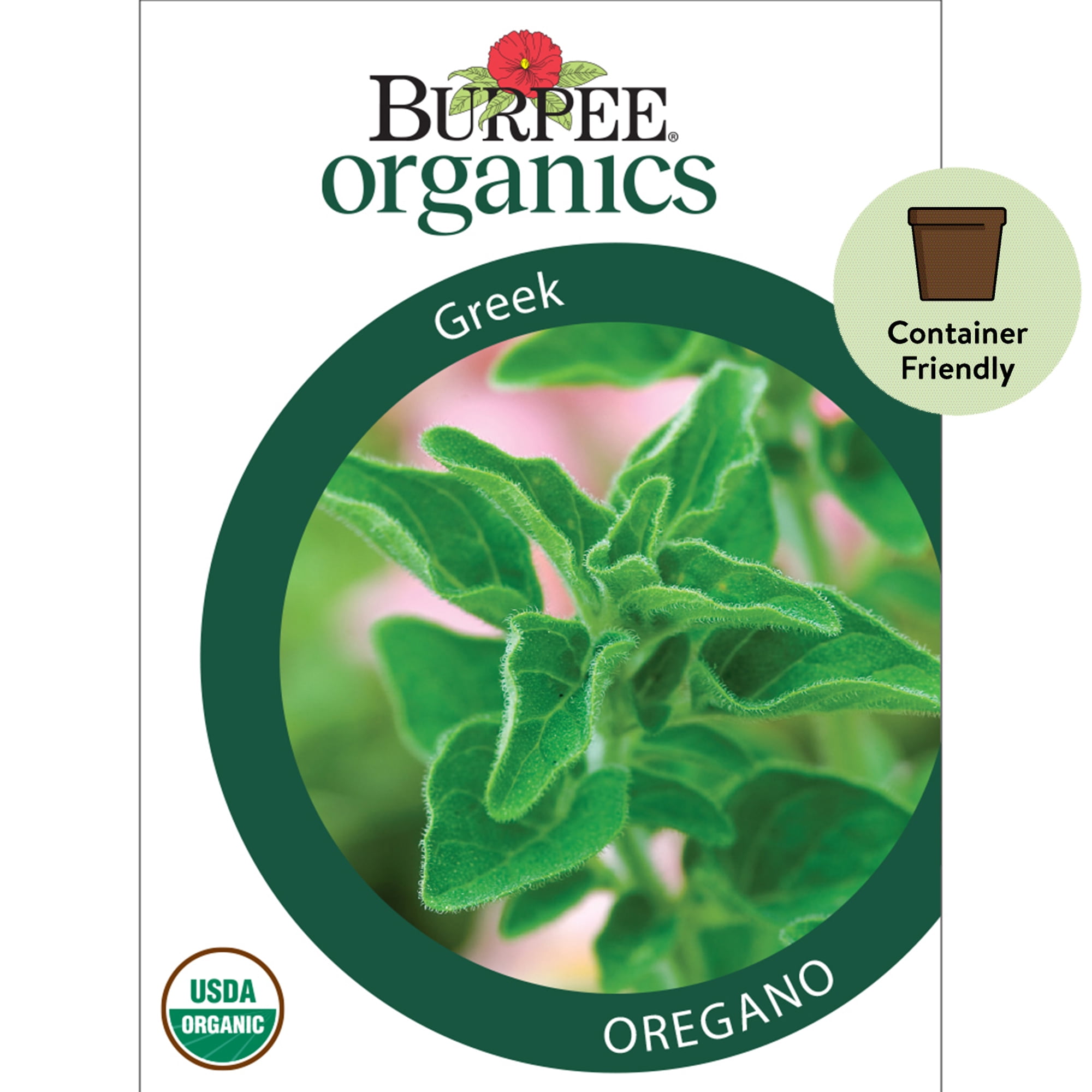 Burpee Greek Oregano Herb Seed