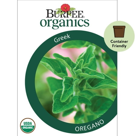 Burpee Organic Greek Oregano Herb Seed, 1-Pack