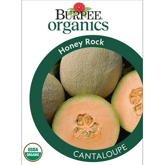 Burpee Organic Honey Rock Cantaloupe Vegetable, Annual Seed, Full Sun
