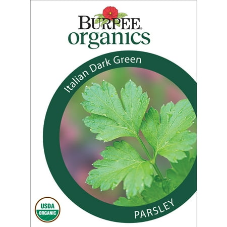 Burpee Organic Italian Dark Green Parsley Herb Seed, 1-Pack, Full Sun, Annual