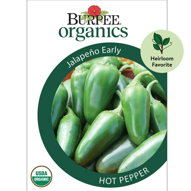 Burpee Organic Jalapeño Early Hot Pepper Vegetable Seed, 1Pack