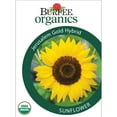 thumbnail image 1 of Burpee Organic Jerusalem Gold Hybrid Sunflower Flower Seed, Annual Flower, Full Sun, 1 of 5