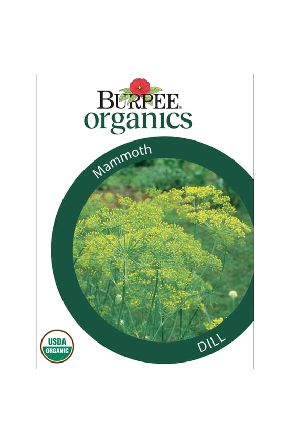 Organic Mammoth Dill Herb Seed, 1-Pack