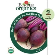 Burpee Organic Medium Top Detroit Dark Red Beet Vegetable Seed, Annual Lifecycle, Full Sun